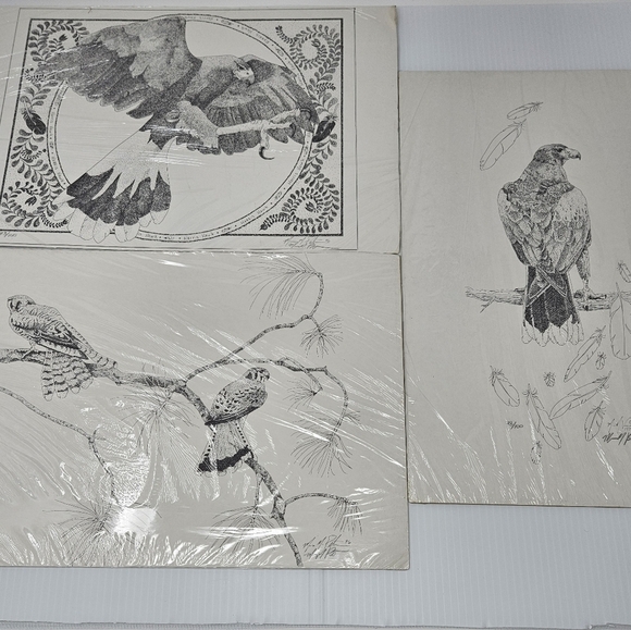 Harris Hawk Bird Art Prints Numbered & Artist Signed Wildlife Set Of 3 - Picture 2 of 16